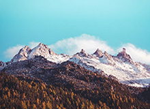 开云体育官网-【直播】萝卜回应打狼队葫芦娃救爷爷：第一个人下去，就没有回头路了